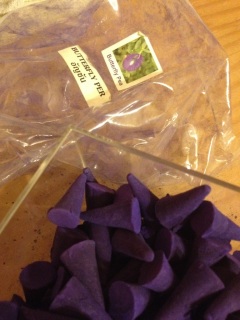 �s���^�C�[