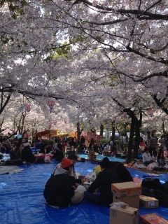 �u���[�V�[�g���Ă��A