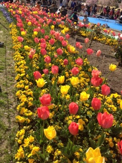 ������������