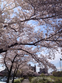 �����@���j���́A