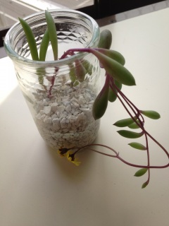 �����A���́A