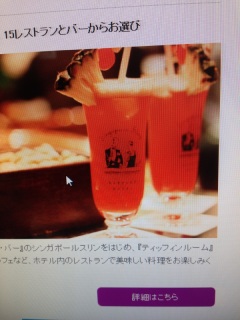 �V���K�|�[���X�����O