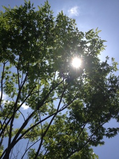 �߂����Ⴂ���V�C