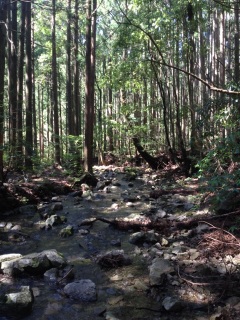 �C��������