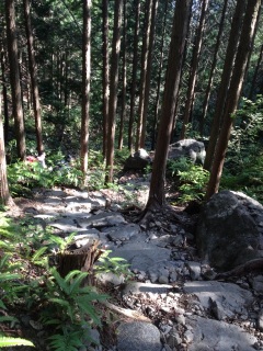 ���̉ߍ�����