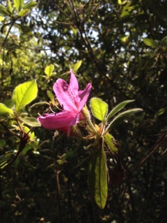 ���}�c�c�W