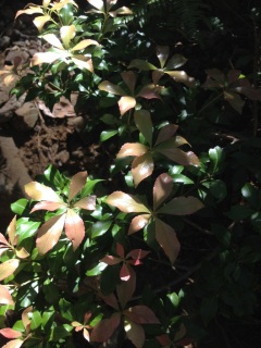 �Ȃ񂾂��킩��Ȃ����ǁA