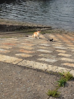 �����͖����Ȃ̂�