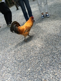 ���U����