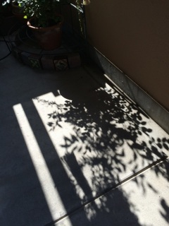 �O�b���[�j��