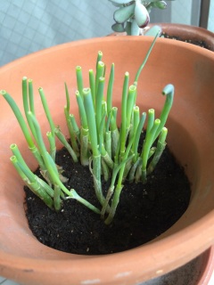 ������2����