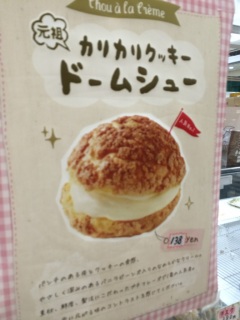 �h�[���V���[