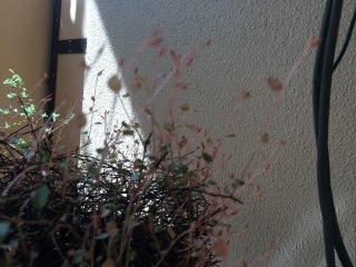 �O�A�x2����