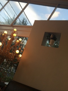 �܂�����B