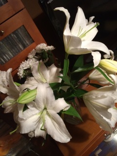 �J�T�u�����J