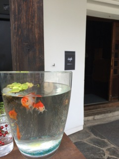 �Â��X����