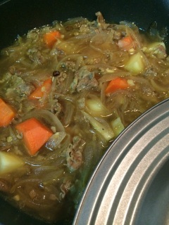 �̗͏�����12��������