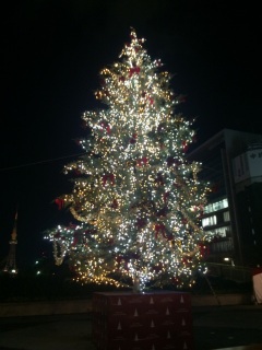 �c���[�ƃe���r��