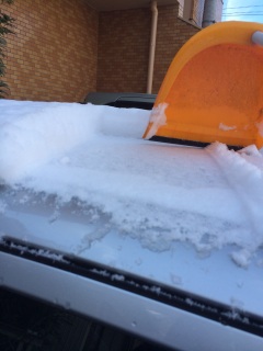 ��������S�܂��