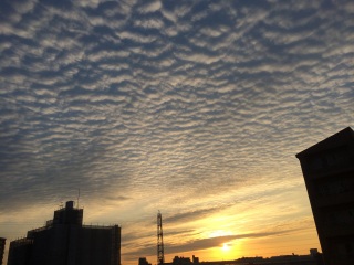 �����̂��낱�_