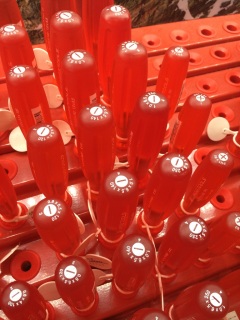 �v���̂��X