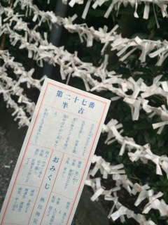 ����̔��g