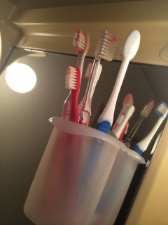 ���ʏ��̎��u���V