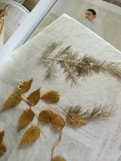 �u���C�_���G���̊Ԃ���