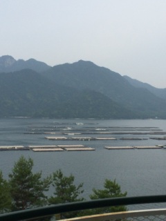 ���y�̗{�B�ꂾ����