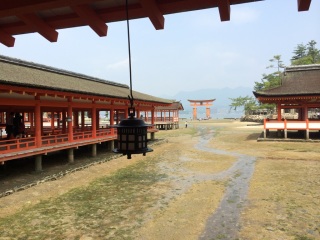 �����Ȃ�(�L�D` )