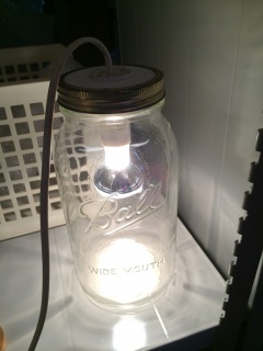 �o���オ���