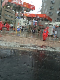 �J�̓��̐�