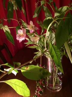 ���Ԃ��_�����`��