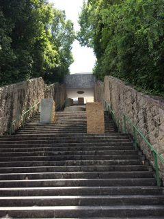 �R�̏�̔��p��