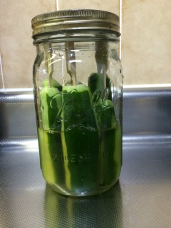 �W���[���イ��B