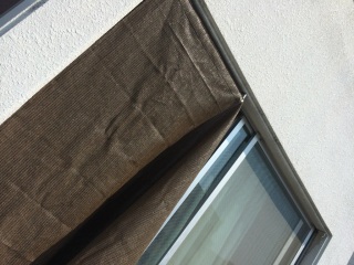 �����̂Ȃ��e���X