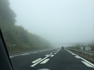 �����X�S�C