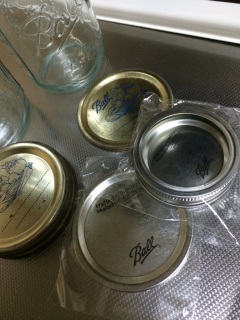 ���C�\���W���[