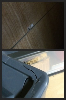 �܂�����Ă�c