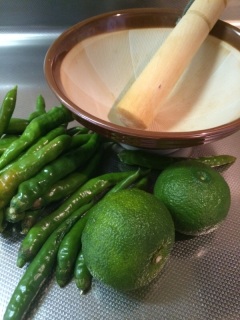 ���h�q�Ɛ��M�q