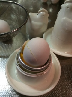 �R�b�R�����