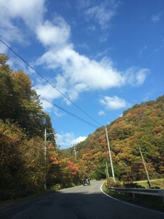 �F�Â��Ă��