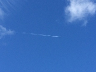 ����Ɛ��ꂽ���I