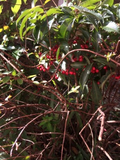 �����āA�}����