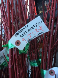 �N���̂��ԉ�����