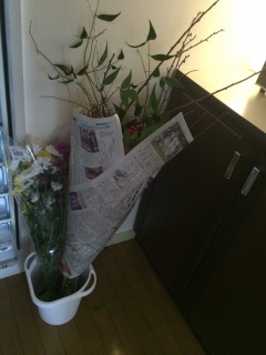 ��R�����Ă���