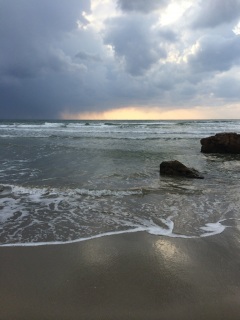 �������ǋC��������