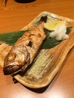 ������ �̂ǂ���