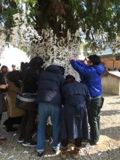 ���݂����̖�