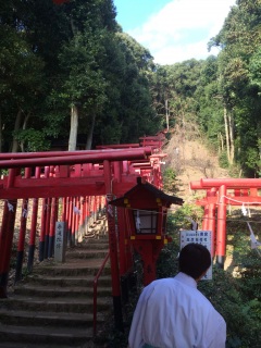 �m��Ȃ������I